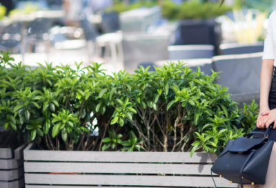 ​简短霸气高考励志语录 霸气高考励志语