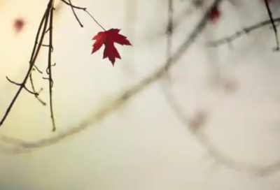 ​励志人生82句