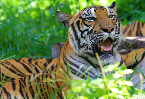 1767512814799752.png image.png