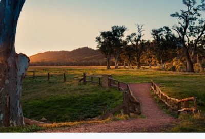 ​2026关于梦想的励志简短句 2026元旦暖心短句