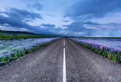 1767513645583784.png image.png