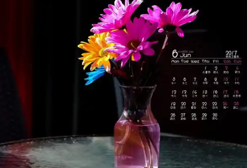 1767514311411985.png image.png