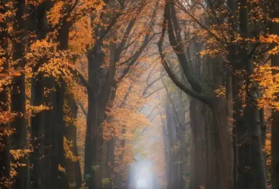 ​每天努力正能量早安语 一日励志早安语