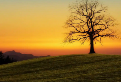 ​2026年简单的励志名句集合