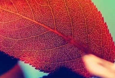 ​充满励志的早安心语 励志早安心语