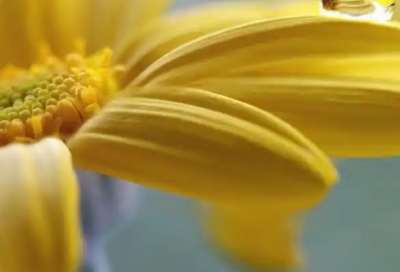 ​论语中励志的句子