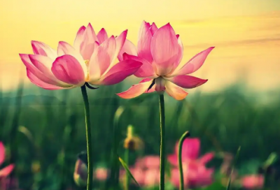 ​每日自律句子励志