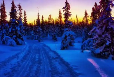 ​实用的正能量励志语句摘录