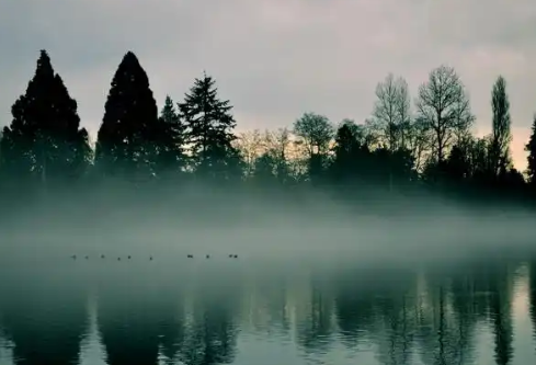 1767798002101534.png image.png