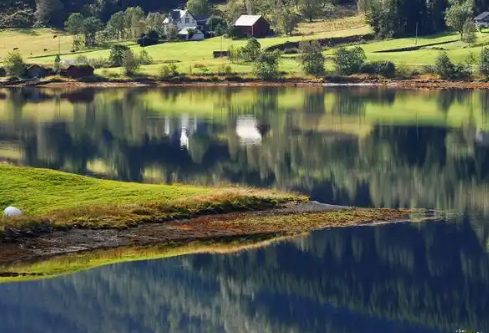 1767800488594942.png image.png