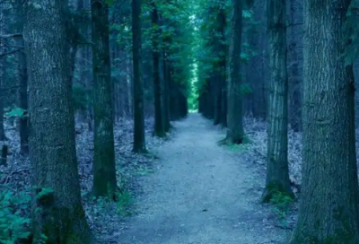 ​知命不惧日日自新(励志正能量简短语句,碌碌谋生谋其所爱)