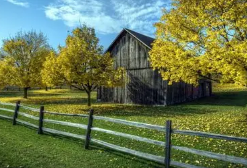 1767802644685980.png image.png