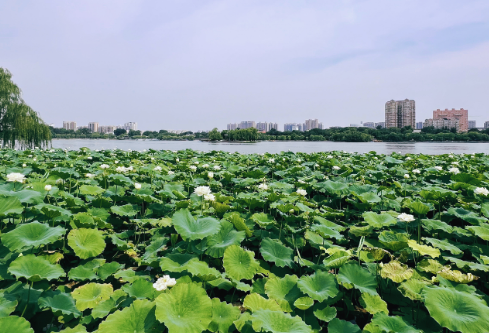 1767810052361822.png image.png