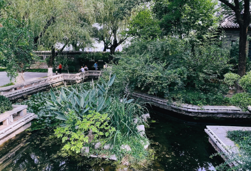 1767810881692521.png image.png