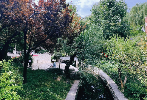 1767811047164995.png image.png