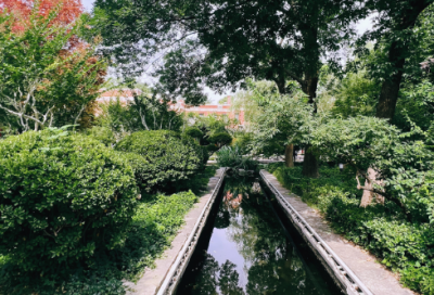 ​元旦励志短信大全