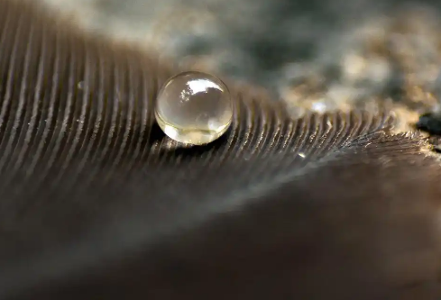 1767811709677873.png image.png