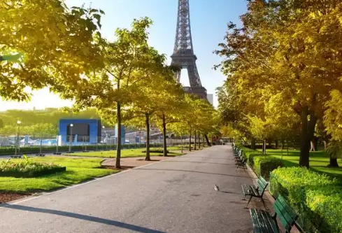 1767812207591544.png image.png