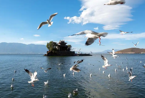 1767812372696331.png image.png