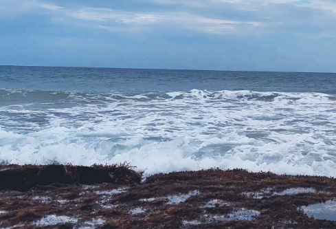 1767854942388019.png image.png