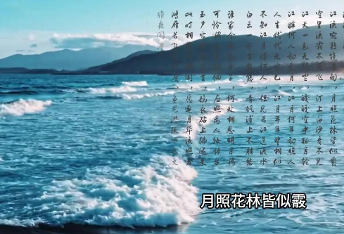 1767856268505149.png image.png