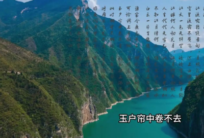 ​最新的宽容的名言大全 宽容的名言大全