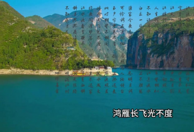 ​搞笑的英语名人名言