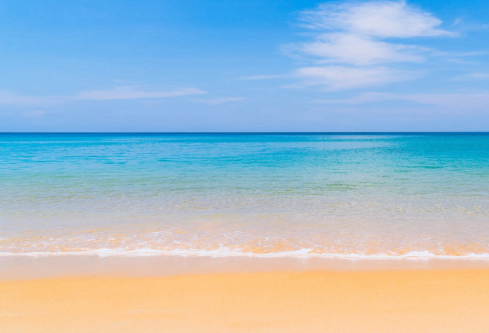 1767893263620233.png image.png