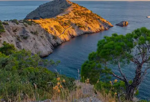 1767894092904416.png image.png