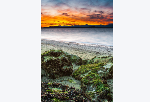 1767894590828879.png image.png