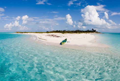 1767895087388250.png image.png