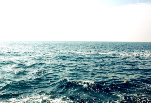 1767895419302665.png image.png