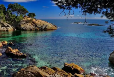 ​关于人格魅力的格言41句