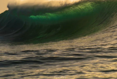 ​缅怀革命先烈的名言41句