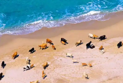 ​关于瞬间的名言名句 关于瞬间与永恒的名言