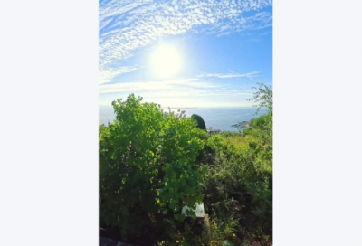 ​名人名言节约72句