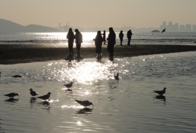 ​关于帮助他人的名人名言