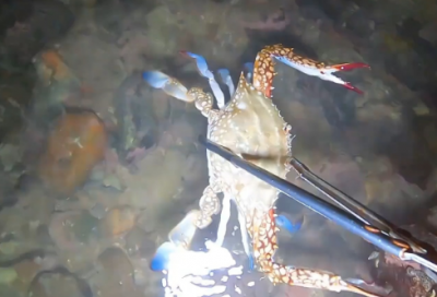 ​不要骄傲继续努力的名言警句