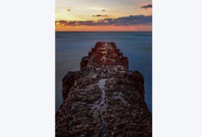 ​关于爱动物的名言名句83句