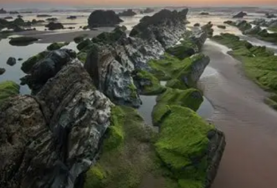 ​诚信名言70句