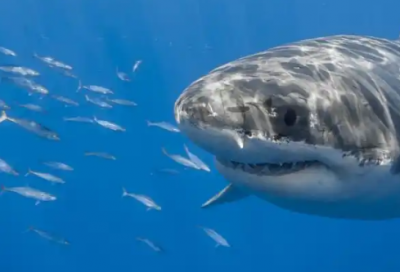 ​春天的格言89句