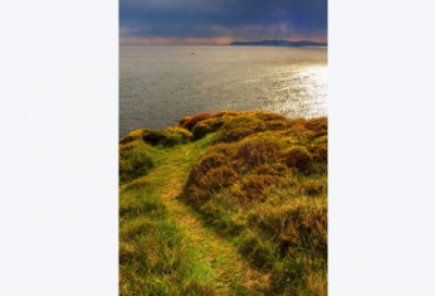 ​2026年青春励志名言65句