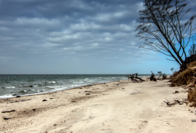 ​2026直抵心灵的人生格言