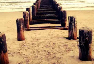 ​教育励志名言警句56句