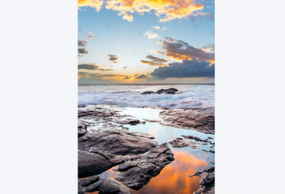 ​杏林子的名言48句