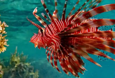 ​惜时的名人名言