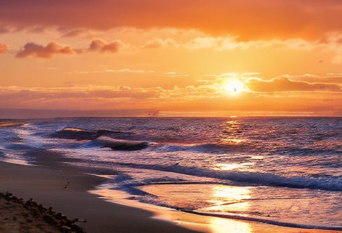 1768453657259968.png image.png