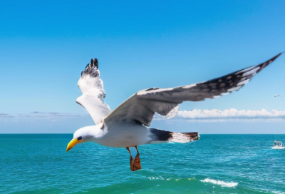 ​关于亲情的伤感句子1 【100句精选】