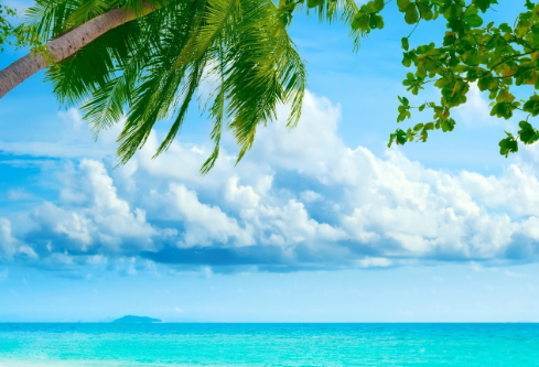 1768463109959314.png image.png