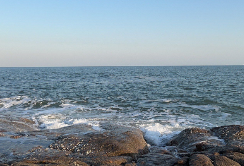 1768463441810177.png image.png